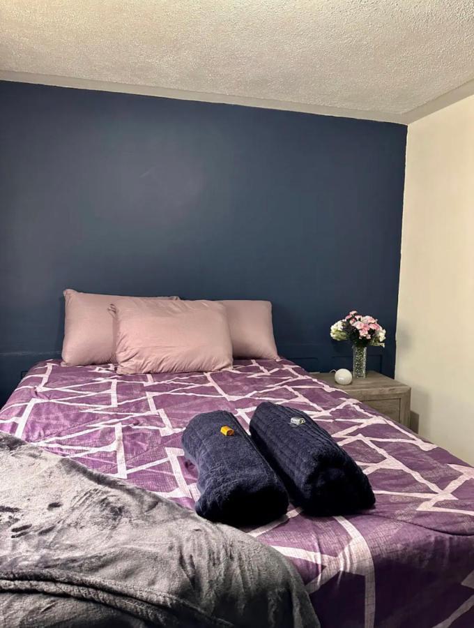 Homestay Alta Terra